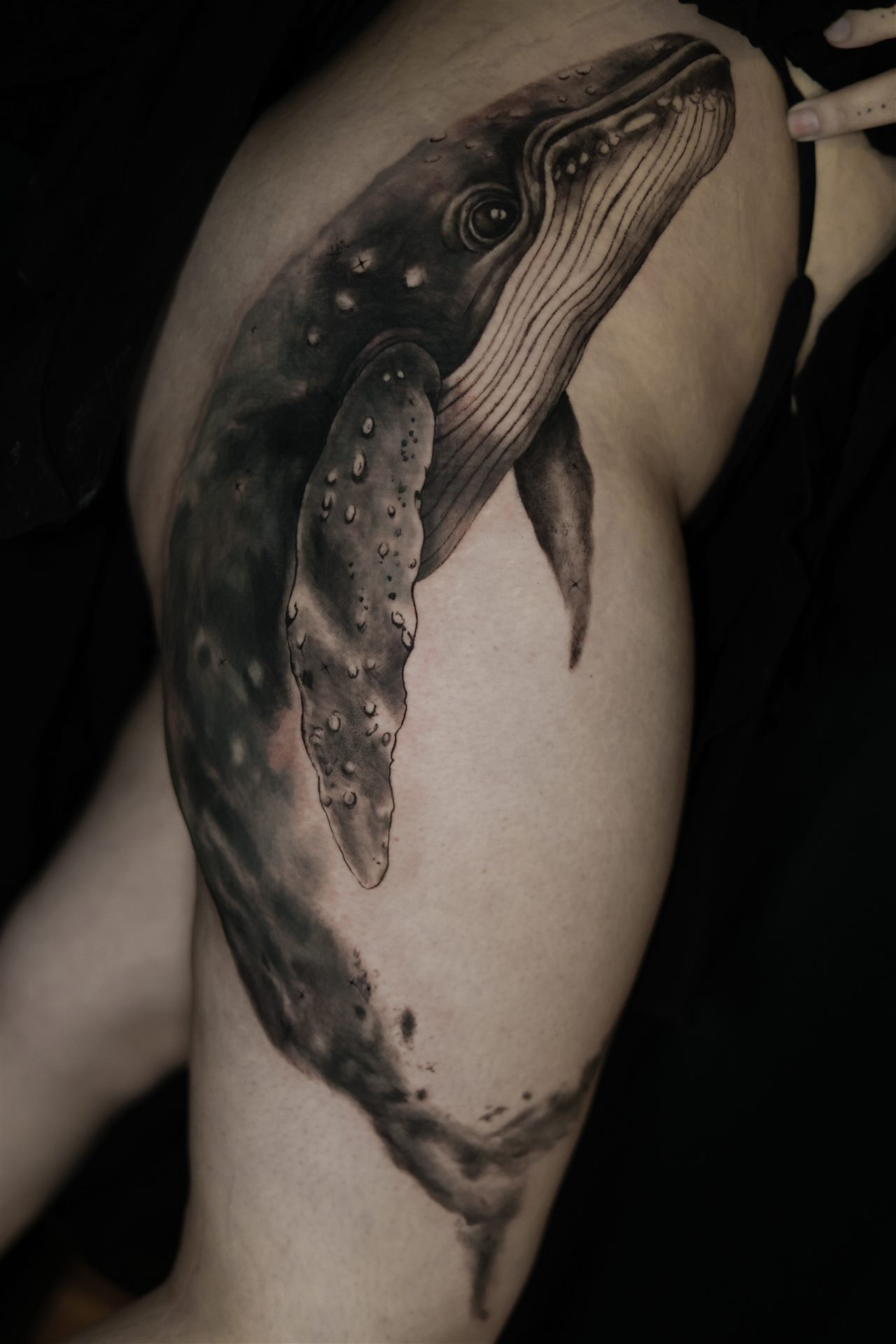 Whale black & gray realism tattoo — thigh